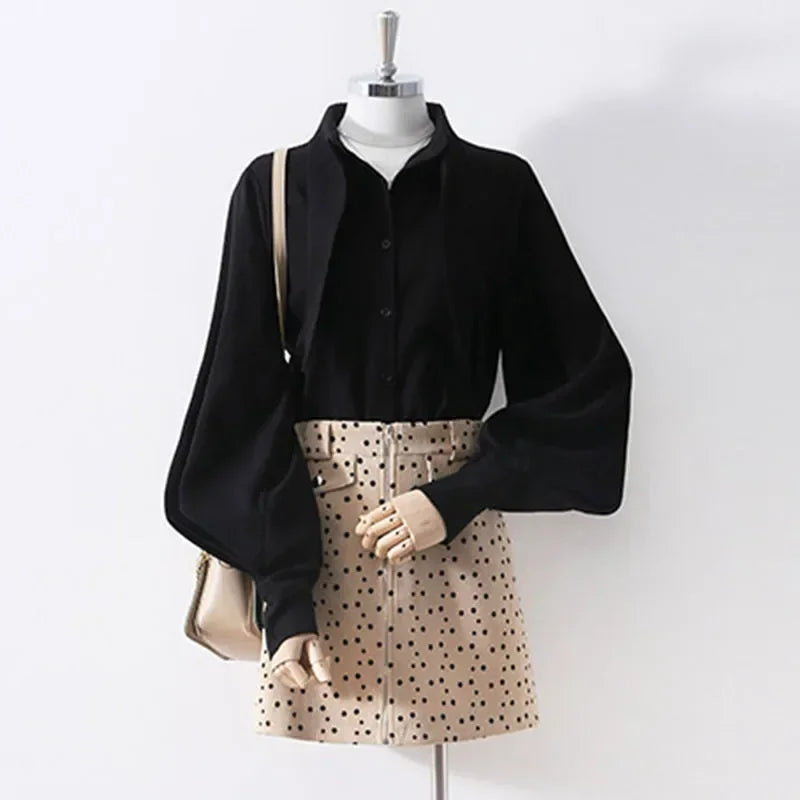 Long Sleeve Loose Lantern Sleeve Blouse
