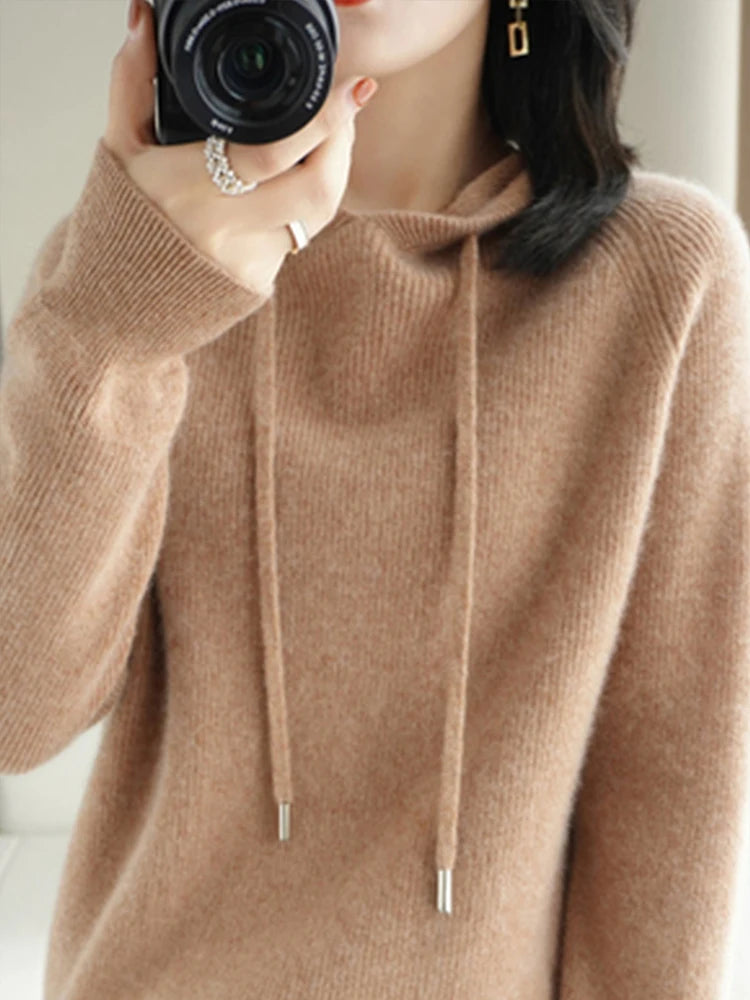 Merino Wool Blend Long Sleeve Hooded Pullover Sweater