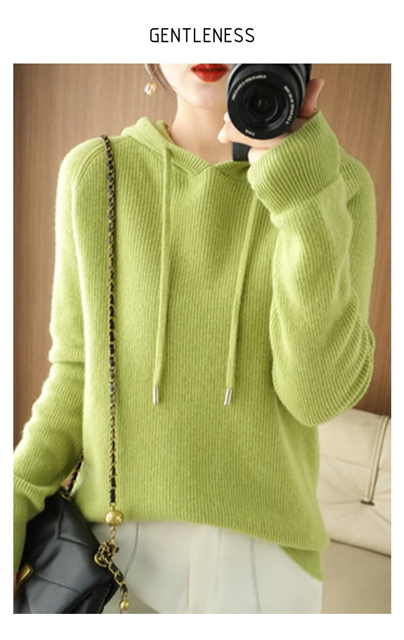 Merino Wool Blend Long Sleeve Hooded Pullover Sweater