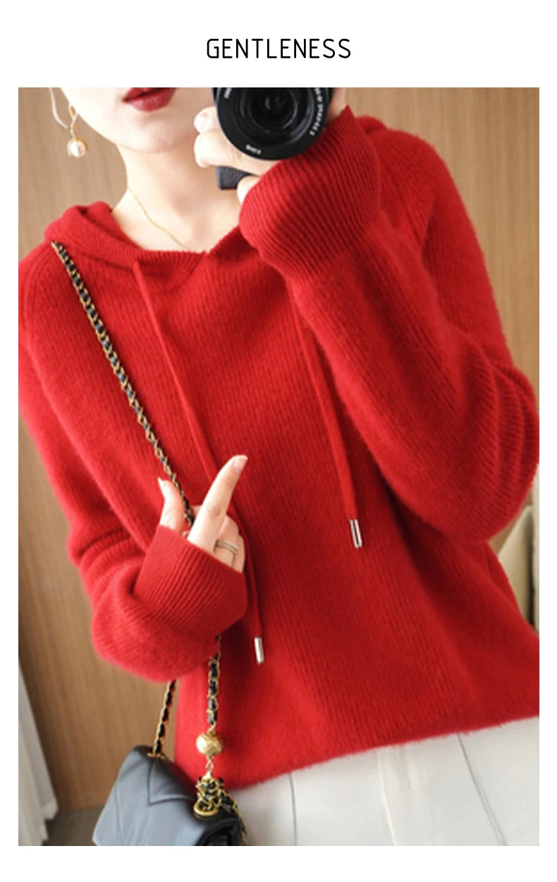 Merino Wool Blend Long Sleeve Hooded Pullover Sweater