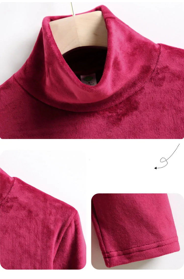 Velvet, Long Sleeve, High Neck Top
