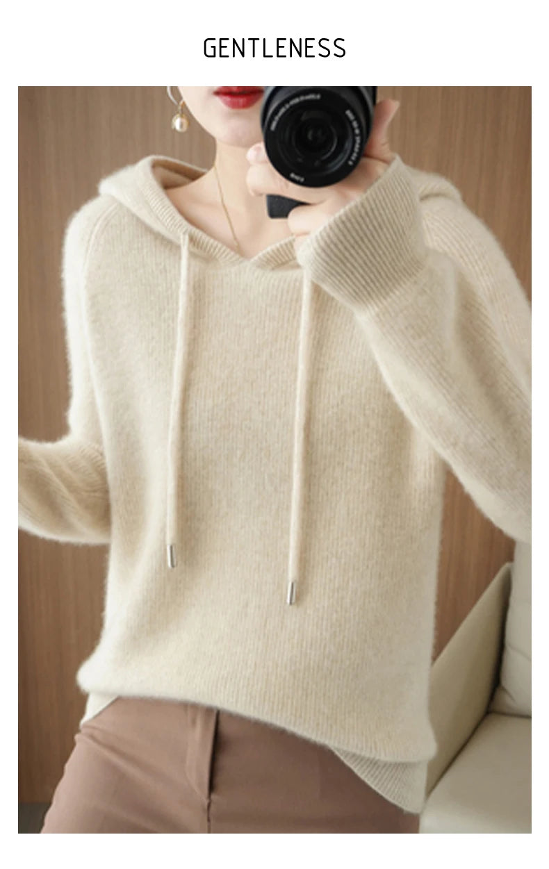 Merino Wool Blend Long Sleeve Hooded Pullover Sweater
