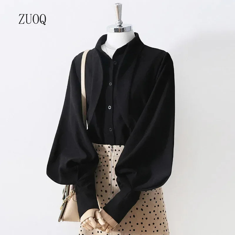 Long Sleeve Loose Lantern Sleeve Blouse