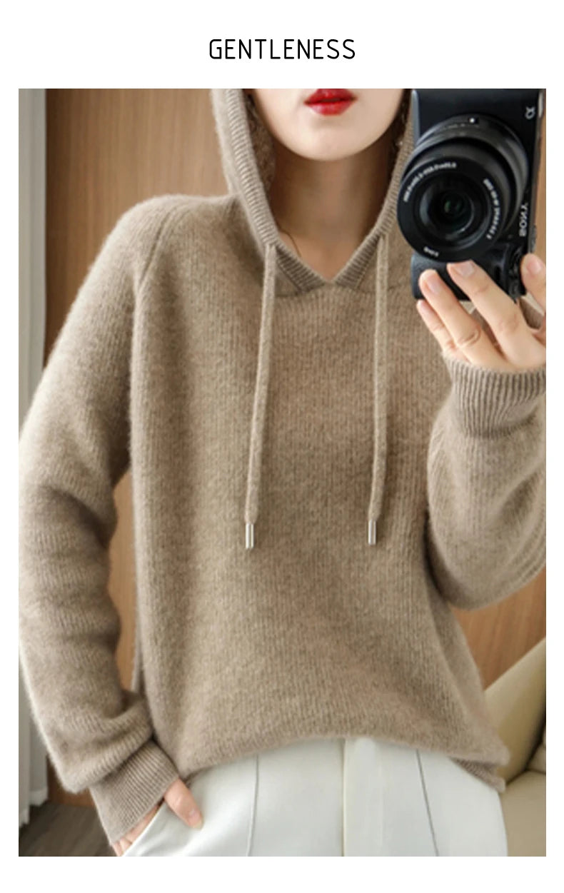 Merino Wool Blend Long Sleeve Hooded Pullover Sweater