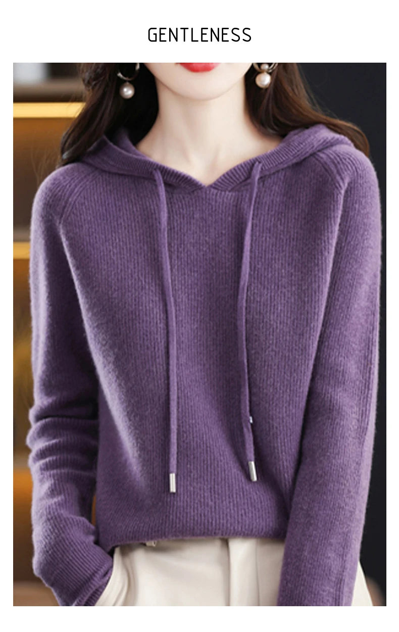 Merino Wool Blend Long Sleeve Hooded Pullover Sweater
