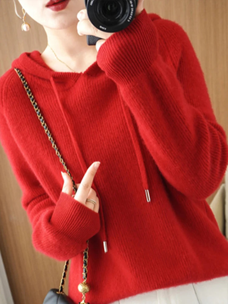 Merino Wool Blend Long Sleeve Hooded Pullover Sweater