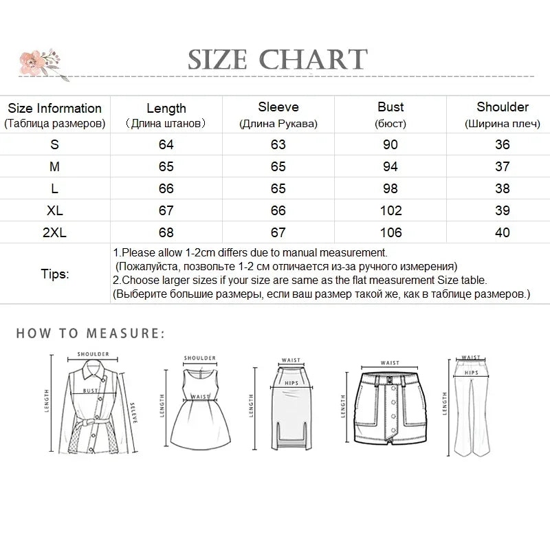 Long Sleeve Loose Lantern Sleeve Blouse