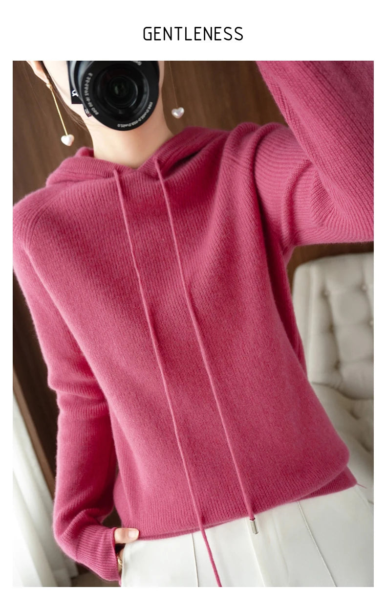 Merino Wool Blend Long Sleeve Hooded Pullover Sweater