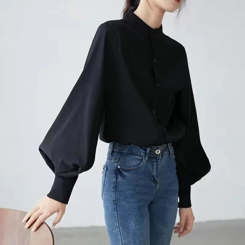 Long Sleeve Loose Lantern Sleeve Blouse