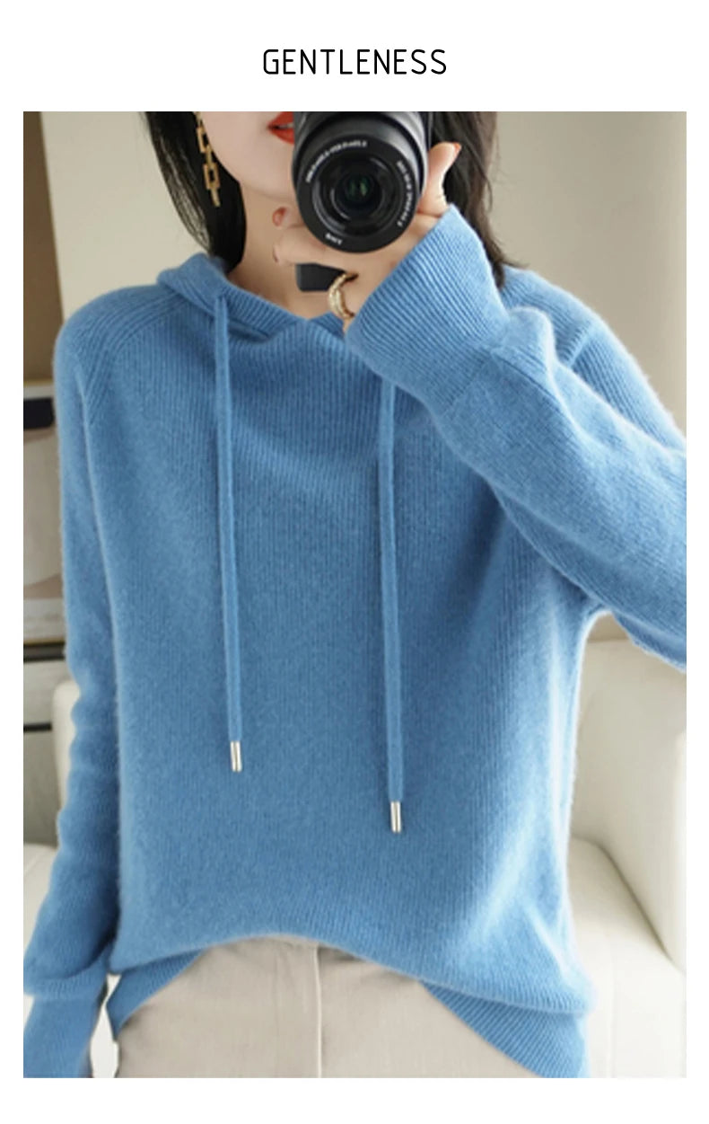 Merino Wool Blend Long Sleeve Hooded Pullover Sweater