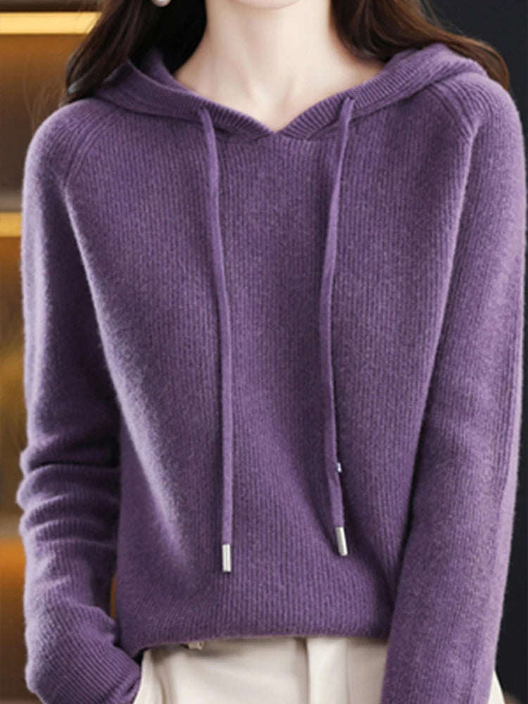 Merino Wool Blend Long Sleeve Hooded Pullover Sweater