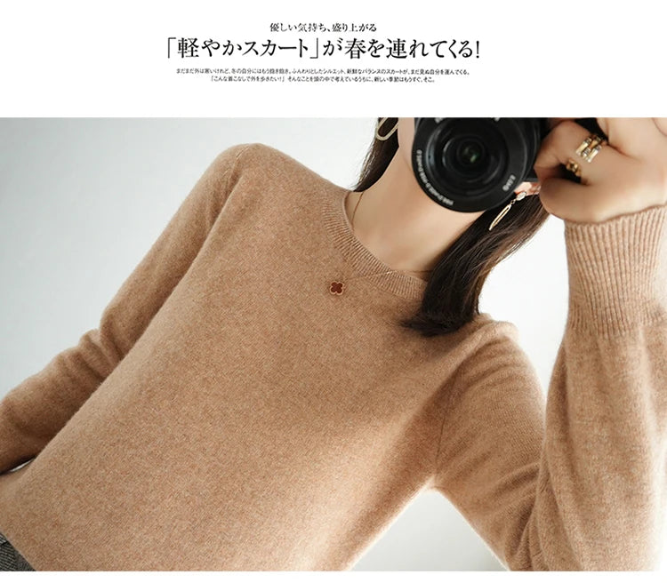 Cashmere Crew Neck Pullover Knit Sweater