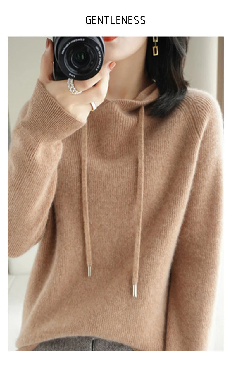 Merino Wool Blend Long Sleeve Hooded Pullover Sweater