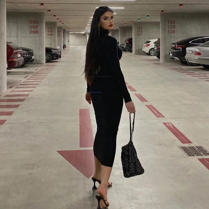 Long Sleeve Turtleneck Black Bodycon Maxi Dress