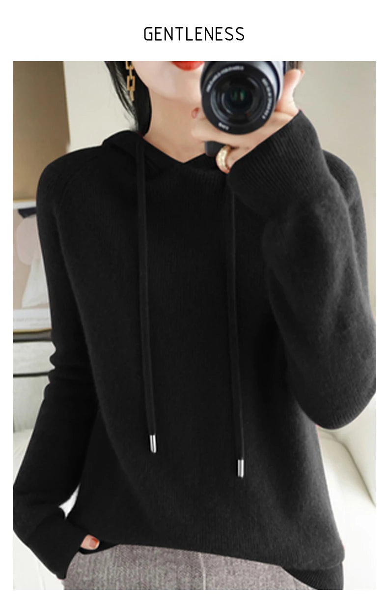 Merino Wool Blend Long Sleeve Hooded Pullover Sweater