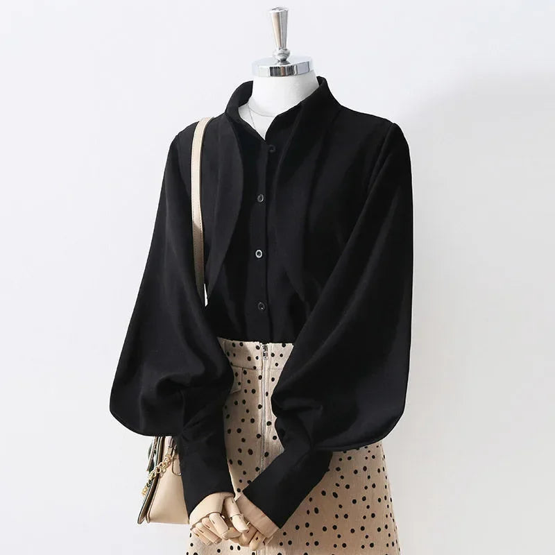 Long Sleeve Loose Lantern Sleeve Blouse