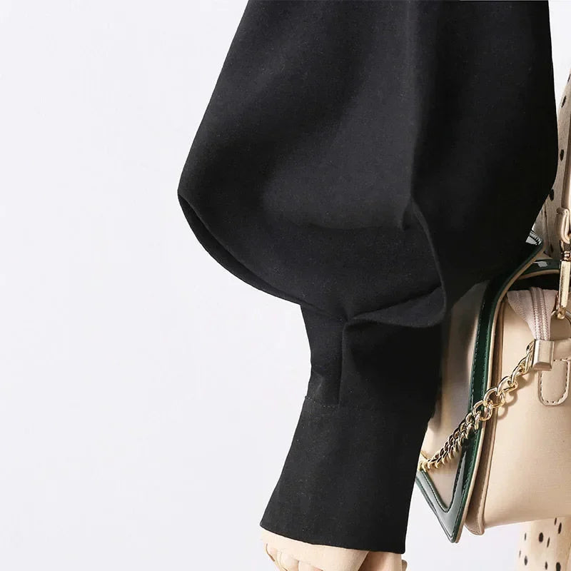 Long Sleeve Loose Lantern Sleeve Blouse