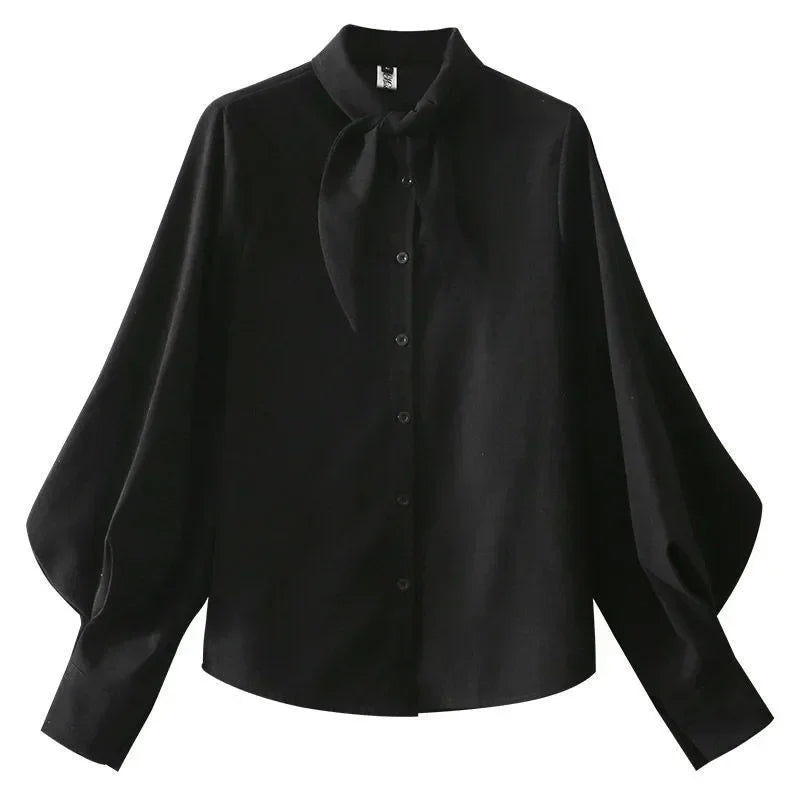 Long Sleeve Loose Lantern Sleeve Blouse