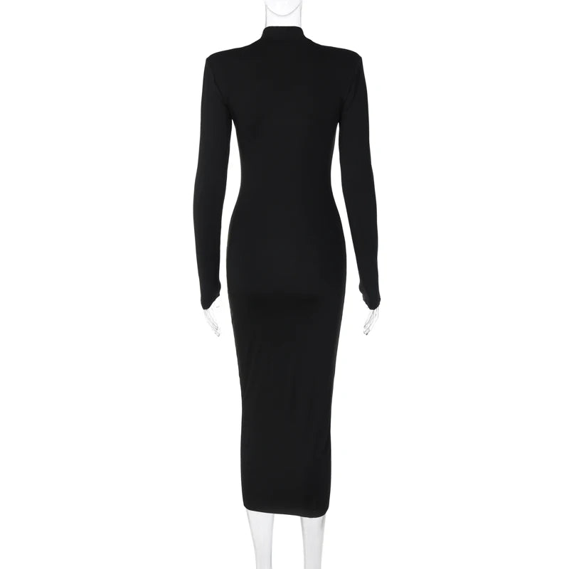 Long Sleeve Turtleneck Black Bodycon Maxi Dress